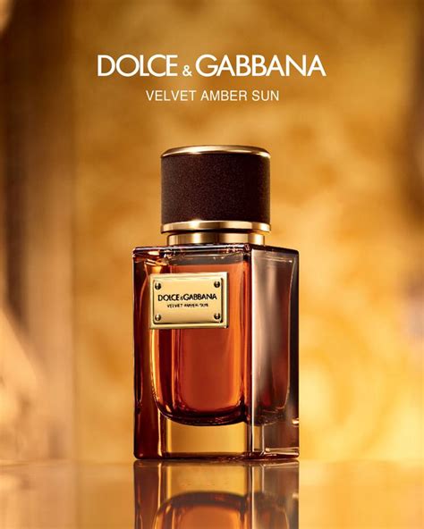 dolce & gabbana velvet amber sun